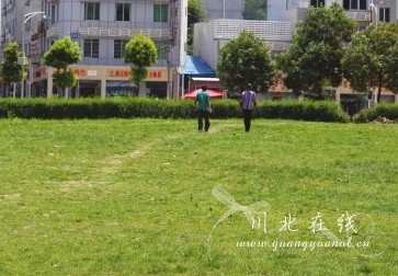 廣元市民踩著草坪“抄近路”實在不應(yīng)該