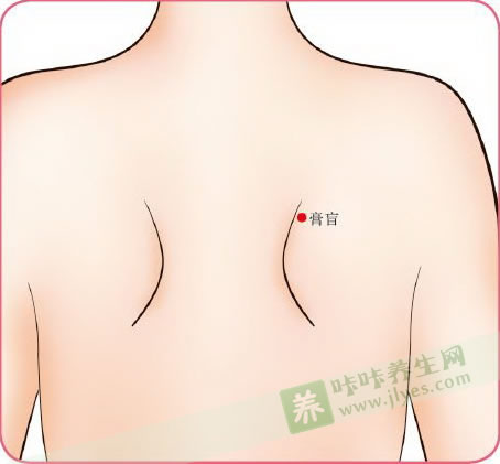 膏肓穴的位置圖 膏肓穴的位置圖