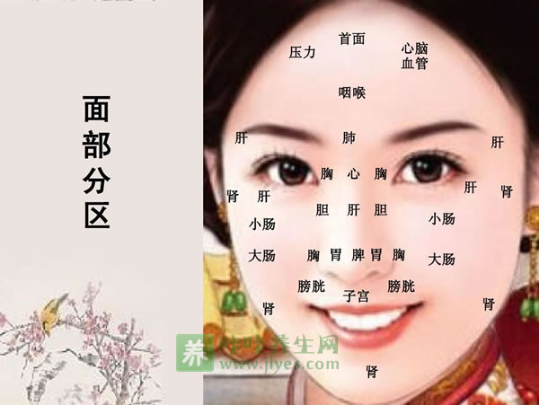 中醫(yī)面診圖解 中醫(yī)面診圖解