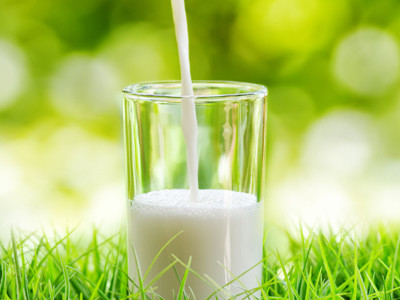 老年人補(bǔ)鈣從膳食開始
