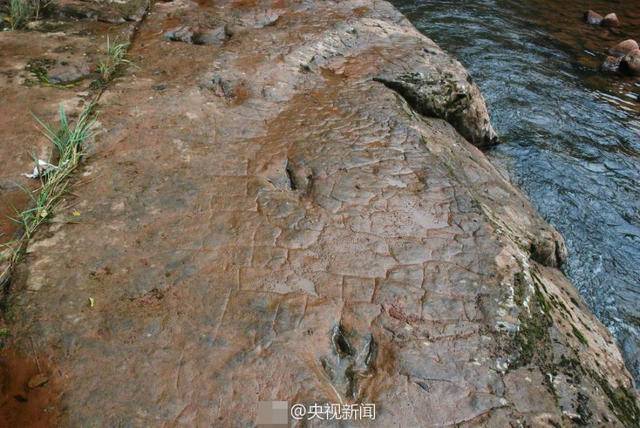 貴州河灘現(xiàn)怪腳印 鳥腳類恐龍?jiān)诖艘捠宠鴻辶?8枚足跡
