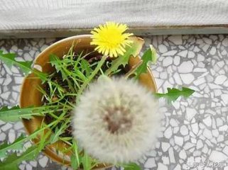 1502703246533347.jpg t018ff9f9dbd028316f.jpg