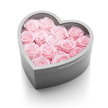roseonlyȫ(i) - (jng)ʢ_(ki)t 