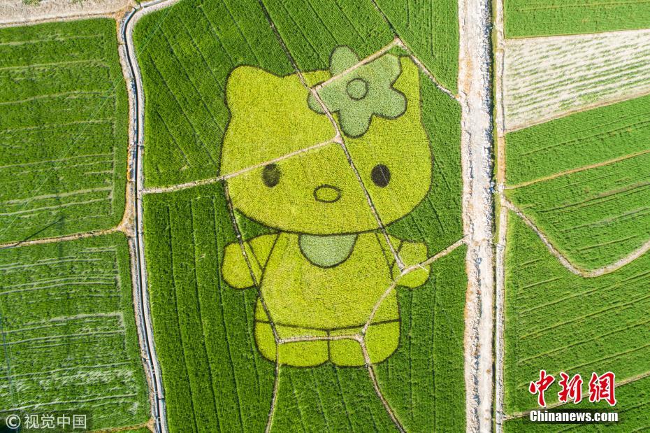 r(chung) NHelloKittyСi
