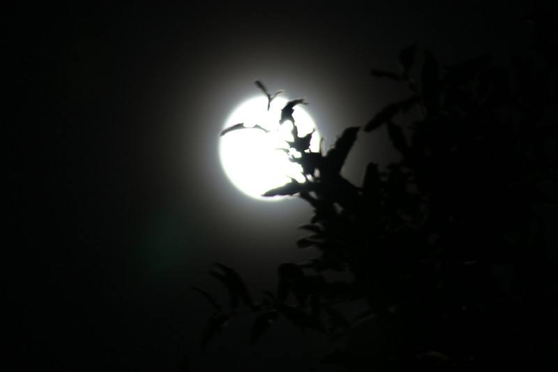 高鐵通信維護(hù)者中秋月夜下的堅(jiān)守