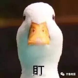21日,微博網(wǎng)友“@極限軍事_老楊”