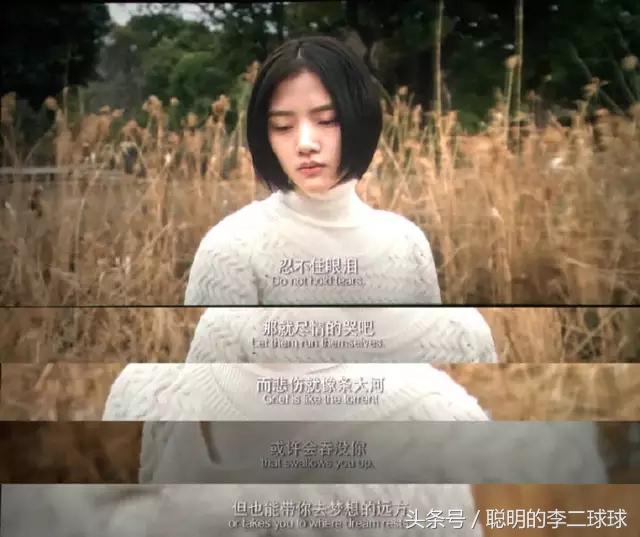 《悲傷逆流成河》:仙人掌不是花,沒人會捧在手心里