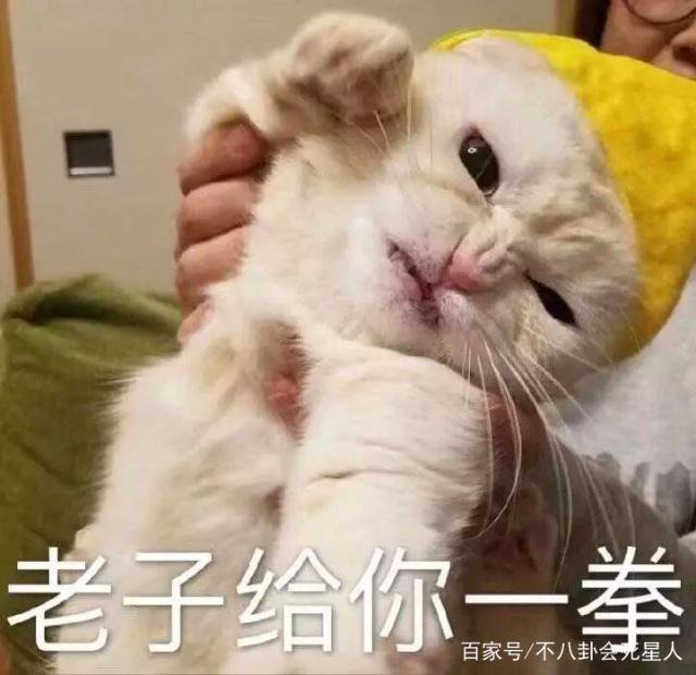 ҕǐС߀ЦȵظF վʲô߀Ո