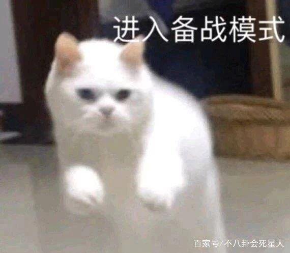 ҕǐС߀ЦȵظF վʲô߀Ո