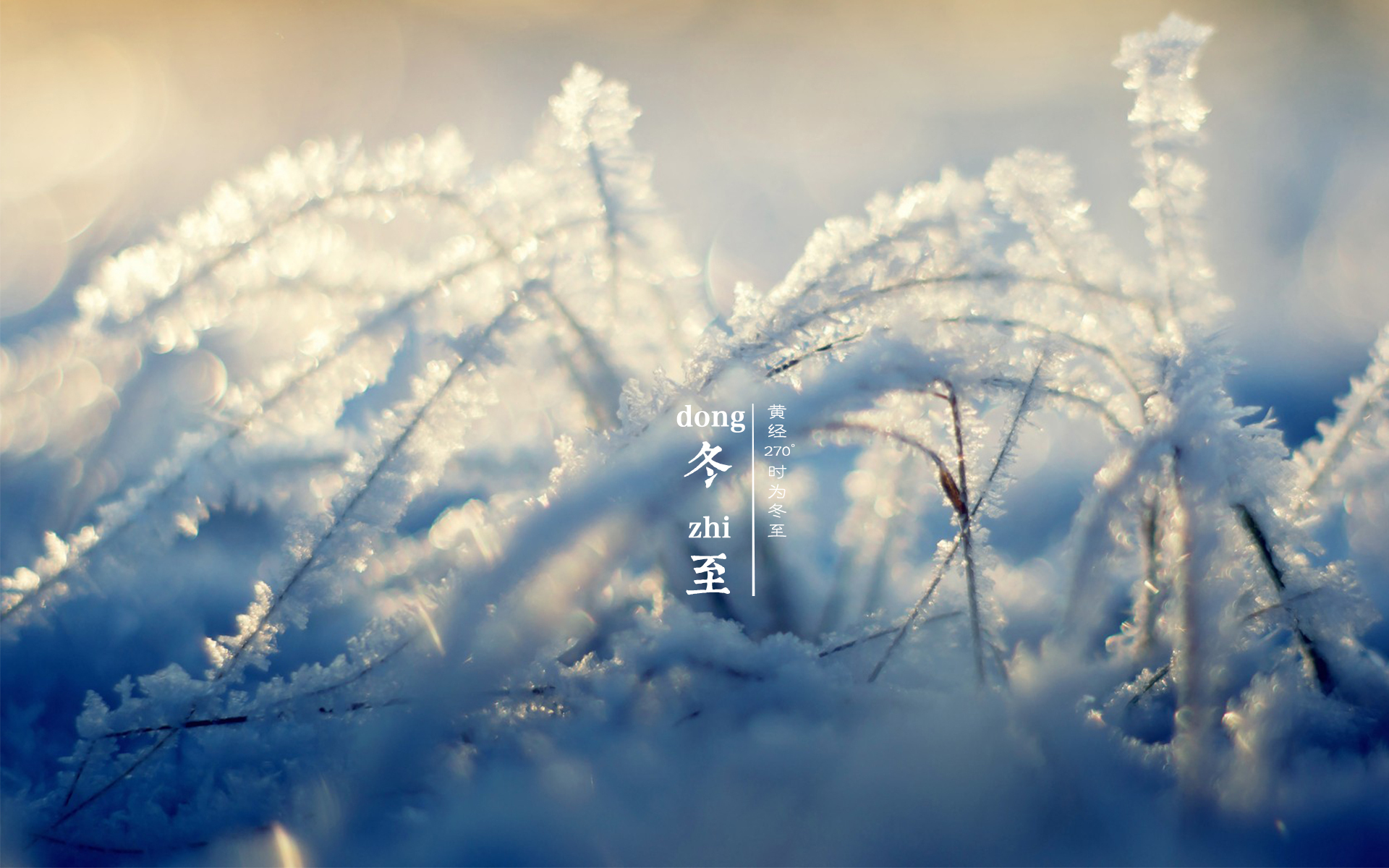2018ȦůףZx ףҶ옷F(tun)F(tun)AA