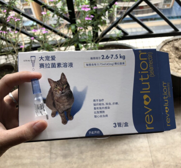 default/20190422/282f769e290879a91ebdcb4759d94b17.png