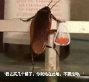抖音我就吃兩個剩下的都給你怎么回復(fù) 抖音我就吃兩個剩下的都給你怎么回復(fù)