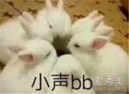 sjb是什么意思 飯圈sjb是什么梗 sjb是什么意思 飯圈sjb是什么梗