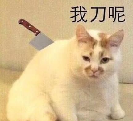 微信截圖_20190611152704.jpg