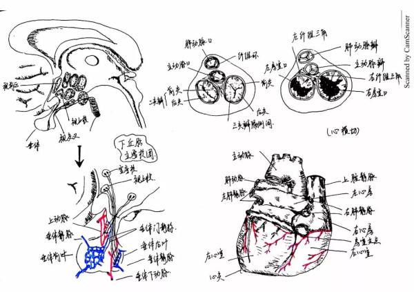 피УWԕɹPӛWѹˣ@ǲడ
