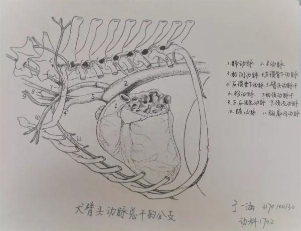 피УWԕɹPӛWѹˣ@ǲడ