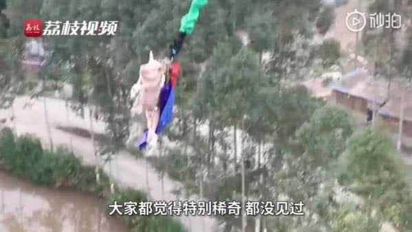 景區(qū)回應讓豬蹦極:做一個試驗 圍觀群眾:豬特別淡定