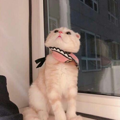 ɐЂ(g)Ե؈΢^ ǧ漢(d)в