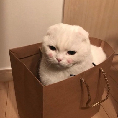 ɐЂ(g)Ե؈΢^ ǧ漢(d)в