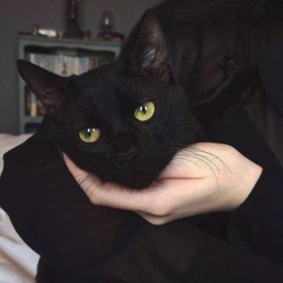 ɐЂ(g)Ե؈΢^ ǧ漢(d)в