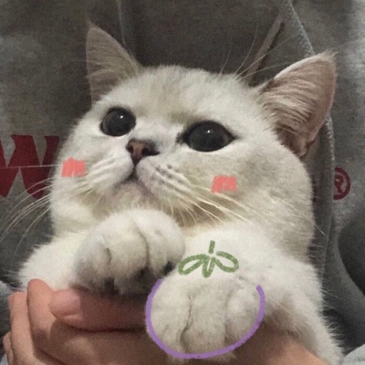 ɐЂ(g)Ե؈΢^ ǧ漢(d)в
