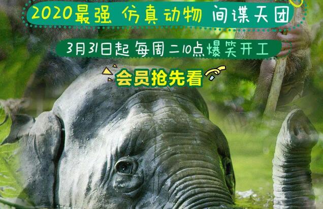 BBC荒野間諜2超清在線免費(fèi)觀看 荒野間諜2全集完整資源下載