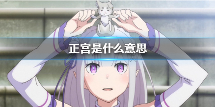 正宮是什么意思