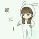 正宮是什么意思
