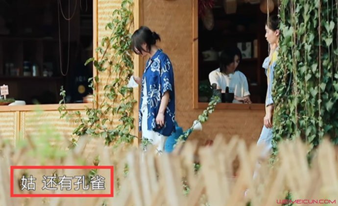 Ѹ溃xʲôP(gun)ϵ溃xʲôѸùã?j)H݆