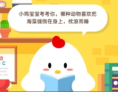 哪種動物喜歡把海藻纏繞在身上睡?螞蟻莊園5月20日今日答題答案