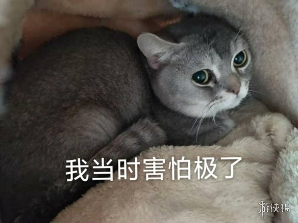 游俠網(wǎng)
