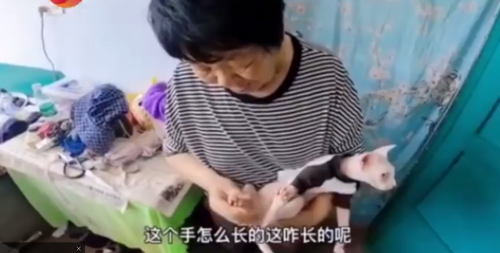 QQ圖片20200613200211