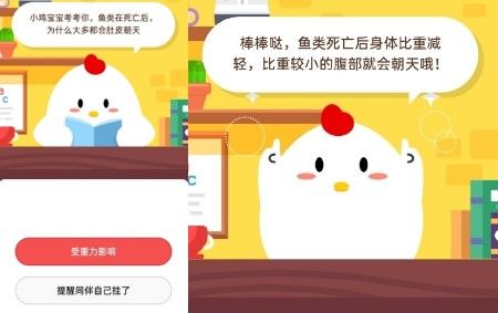 2020年6月19日螞蟻莊園小課堂答案