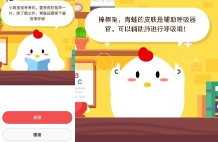 除了肺之外,青蛙還靠哪個器官來呼吸? 除了肺之外,青蛙還靠哪個器官來呼吸?