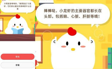 夜宵霸主小龍蝦的心臟長(zhǎng)在身體什么位置?為什么是長(zhǎng)在蝦頭?