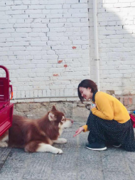 1597204552490766.png QQ圖片20200812115544.png
