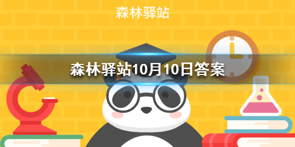 游俠網(wǎng)1