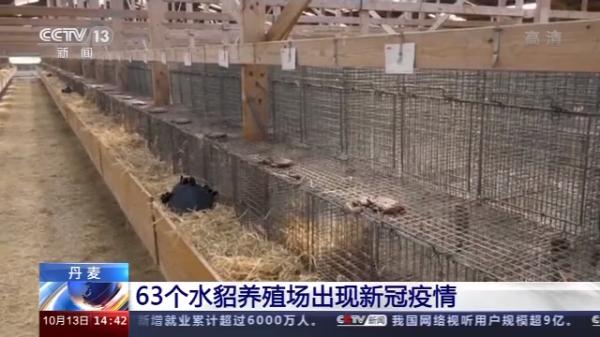 丹麥63個(gè)水貂養(yǎng)殖場出現(xiàn)新冠疫情 丹麥63個(gè)水貂養(yǎng)殖場出現(xiàn)新冠疫情