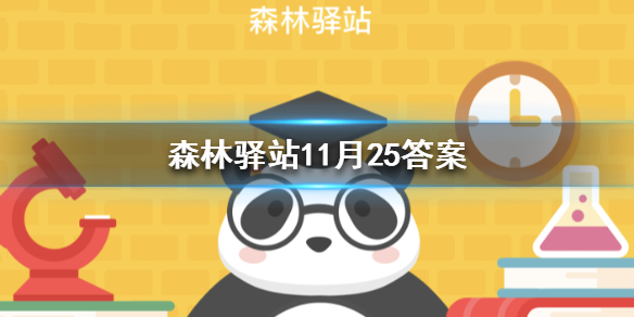 游俠網(wǎng)1