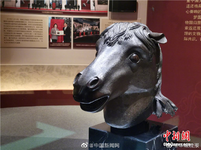 馬首回家! 馬首成首件回歸圓明園的流失海外重要文物 馬首回家! 馬首成首件回歸圓明園的流失海外重要文物