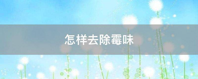 怎樣去除霉味