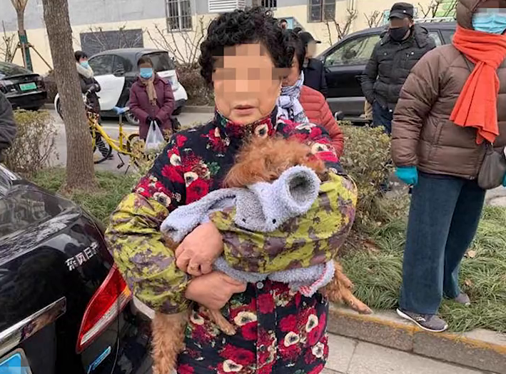 狗狗未拴繩過馬路被撞死主人全責(zé),大媽:狗子走的是斑馬線 狗狗未拴繩過馬路被撞死主人全責(zé),大媽:狗子走的是斑馬線