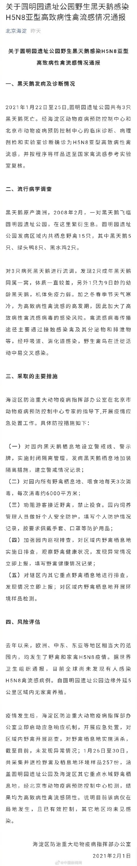 北京海淀通報(bào)圓明園黑天鵝感染禽流感情況:已有效控制 北京海淀通報(bào)圓明園黑天鵝感染禽流感情況:已有效控制