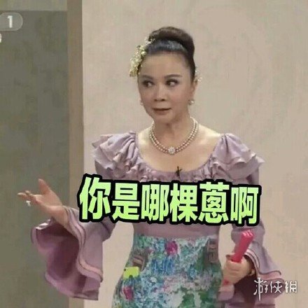 游俠網(wǎng)9
