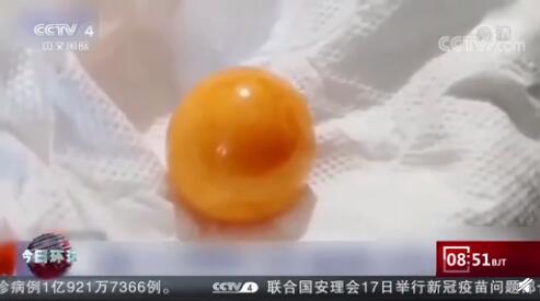 泰國(guó)司機(jī)海螺里吃出龍珠 價(jià)格約175萬(wàn)元人民幣
