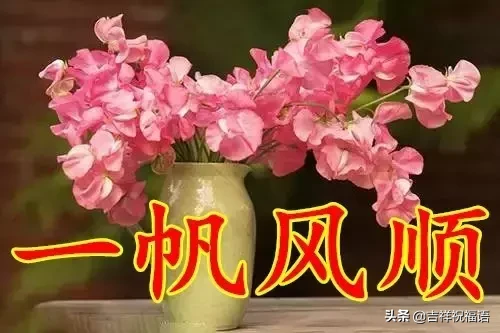 ʮһ,̫Ư,̫Ư,ͽoҵȦ!l(shu)_l(shu)Ҹ