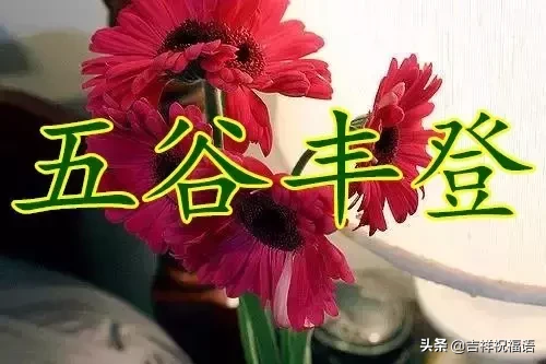 ʮһ,̫Ư,̫Ư,ͽoҵȦ!l(shu)_l(shu)Ҹ