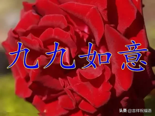 ʮһ,̫Ư,̫Ư,ͽoҵȦ!l(shu)_l(shu)Ҹ