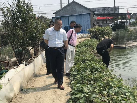 云圖片
