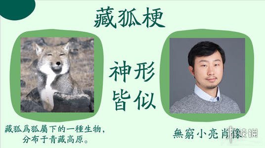 游俠網(wǎng)2